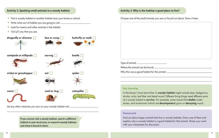 Produktbild: Snap Science 2nd Edition - Snap Science Pupil Workbook