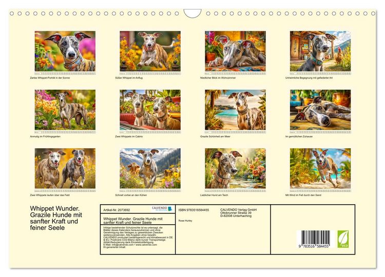 Produktbild: Whippet Wunder. Grazile Hunde mit sanfter Kraft und feiner Seele (Wandkalender 2026 DIN A3 quer), CALVENDO Monatskalender