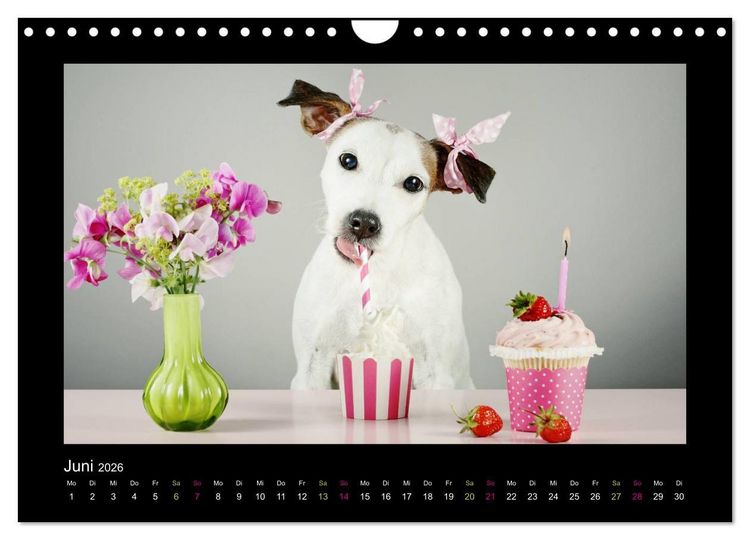 Produktbild: Die Parsons (Wandkalender 2026 DIN A4 quer), CALVENDO Monatskalender