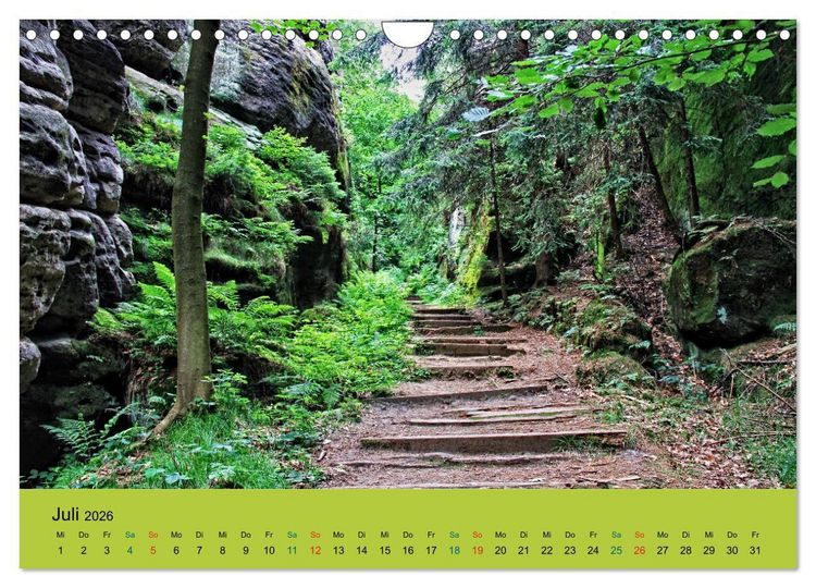 Produktbild: Im Elbsandstein - S&auml;chsisch-b&ouml;hmische Schweiz (Wandkalender 2026 DIN A4 quer), CALVENDO Monatskalender