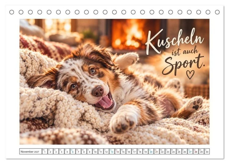Produktbild: Zum Gl&uuml;ck gibt&rsquo;s Hunde (Tischkalender 2027 DIN A5 quer), CALVENDO Monatskalender