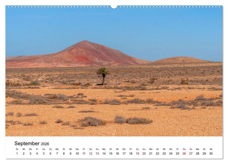 Produktbild: B&auml;ume - Wunder der Natur (hochwertiger Premium Wandkalender 2026 DIN A2 quer), Kunstdruck in Hochglanz