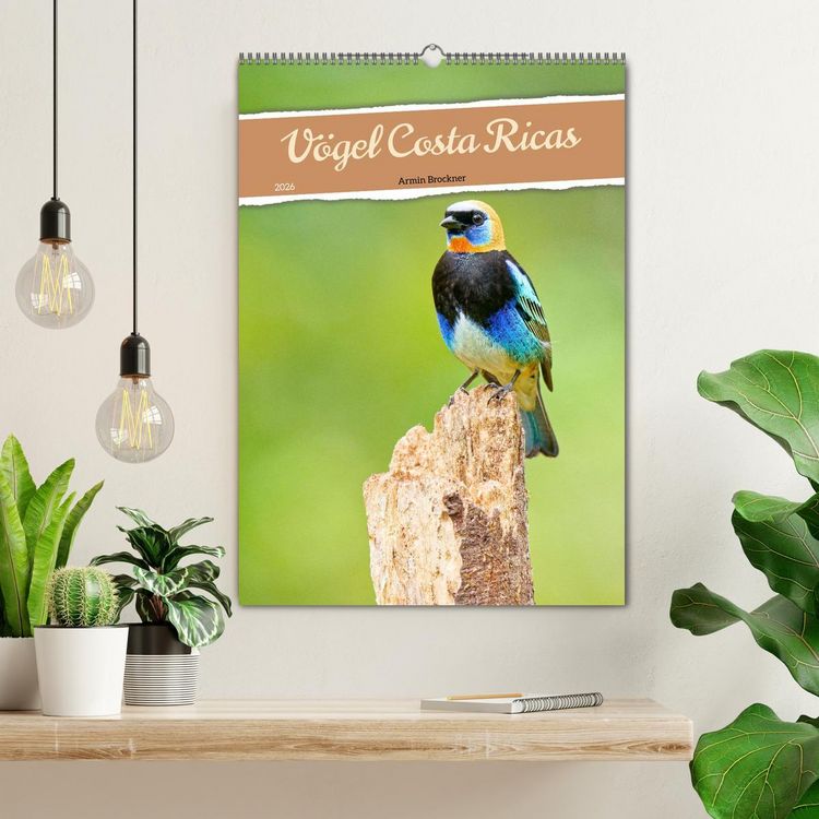 Produktbild: V&ouml;gel Costa Ricas (Wandkalender 2026 DIN A2 hoch), CALVENDO Monatskalender