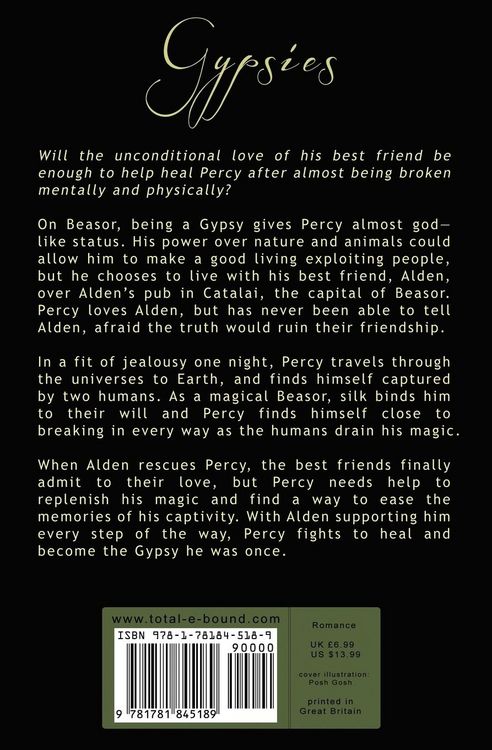 Produktbild: The Beasor Chronicles