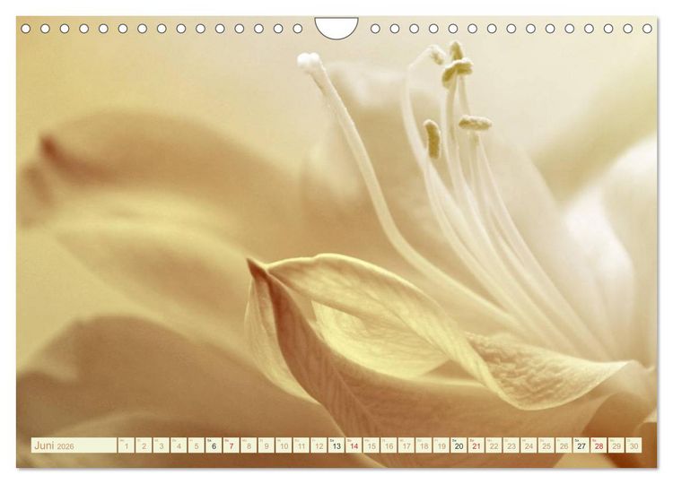 Produktbild: Momente der Stille (Wandkalender 2026 DIN A4 quer), CALVENDO Monatskalender