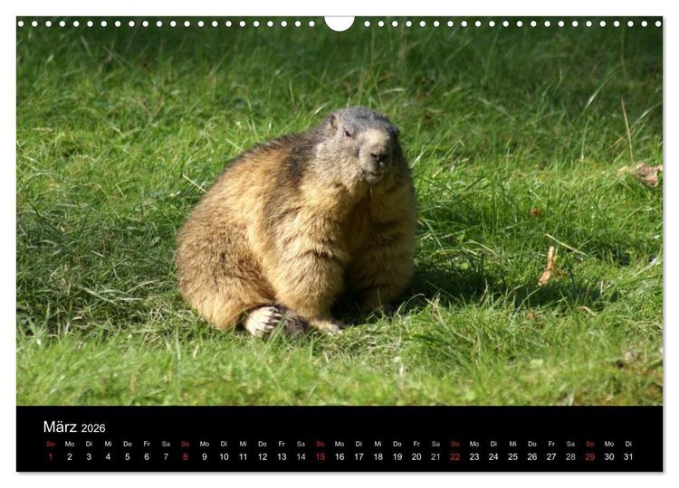 Produktbild: Die Welt der Berge (Wandkalender 2026 DIN A3 quer), CALVENDO Monatskalender