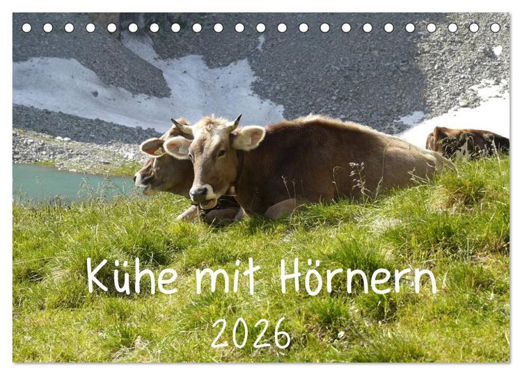 Produktbild: K&uuml;he mit H&ouml;rnern (Tischkalender 2026 DIN A5 quer), CALVENDO Monatskalender