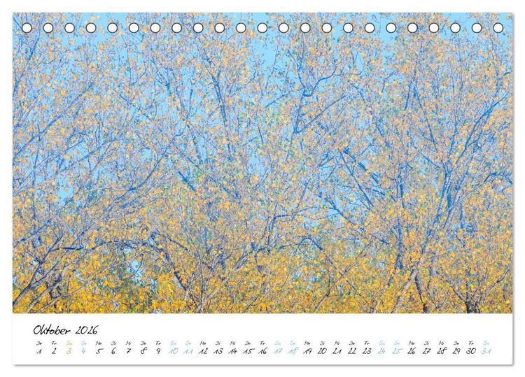 Produktbild: In der Welt der B&auml;ume (Tischkalender 2026 DIN A5 quer), CALVENDO Monatskalender