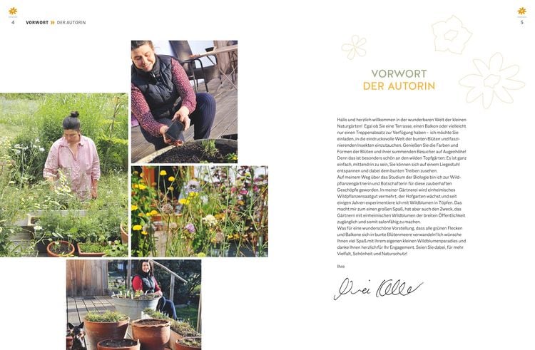 Produktbild: Wildblumen f&uuml;r Balkon und Terrasse