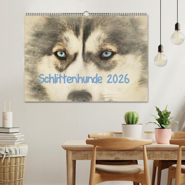 Produktbild: Schlittenhunde 2026 (Wandkalender 2026 DIN A2 quer), CALVENDO Monatskalender