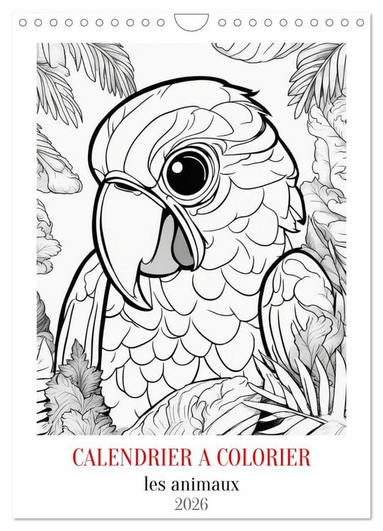 Produktbild: Calendrier &agrave; colorier (Calendrier mural 2026 DIN A4 horizontal), CALVENDO calendrier mensuel