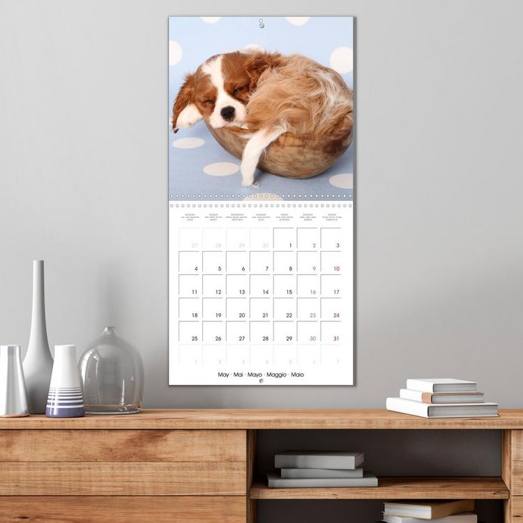 Produktbild: Sleeping Puppies (Wall Calendar 2026 12 &times; 12 Inch) CALVENDO 12 Month Wall Calendar