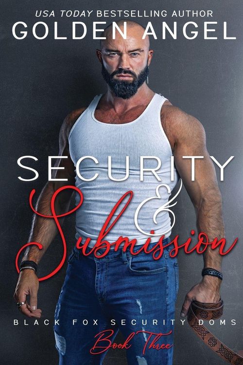 Produktbild: Security and Submission