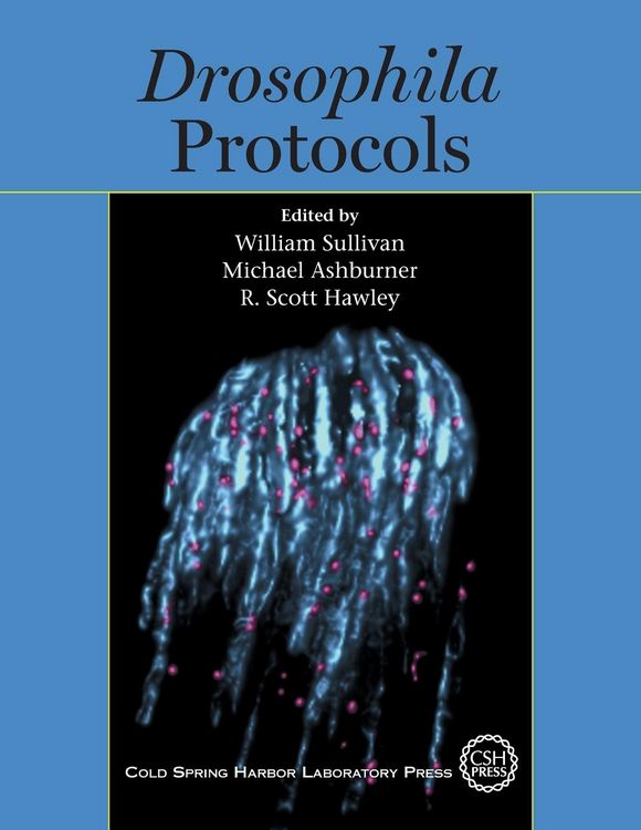 Produktbild: Drosophila Protocols