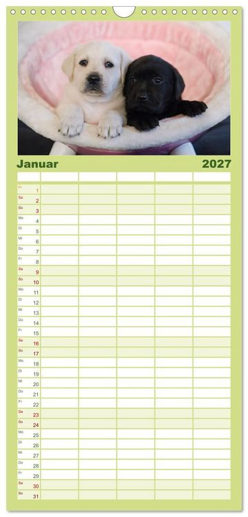 Produktbild: Familienplaner 2027 - Labrador Welpen mit 5 Spalten (Wandkalender, 21 x 45 cm) CALVENDO