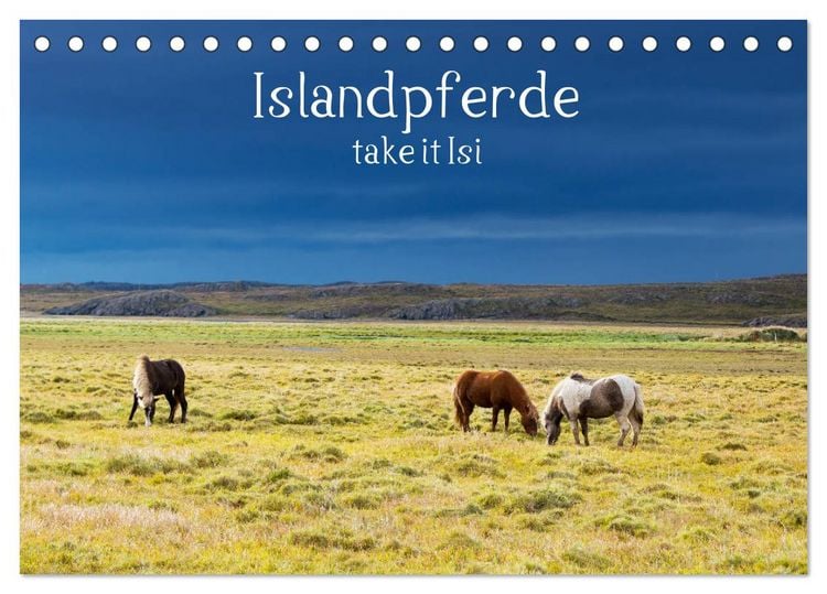 Produktbild: Islandpferde take it Isi (Tischkalender 2026 DIN A5 quer), CALVENDO Monatskalender