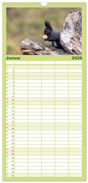Produktbild: Familienplaner 2026 - Eichh&ouml;rnchenliebe mit 5 Spalten (Wandkalender, 21 x 45 cm) CALVENDO
