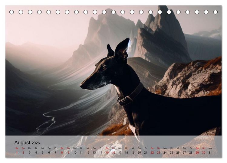 Produktbild: Black is beautiful (Tischkalender 2026 DIN A5 quer), CALVENDO Monatskalender