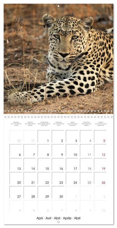 Produktbild: Namibian Adventure (Wall Calendar 2026 12 &times; 12 Inch) CALVENDO 12 Month Wall Calendar