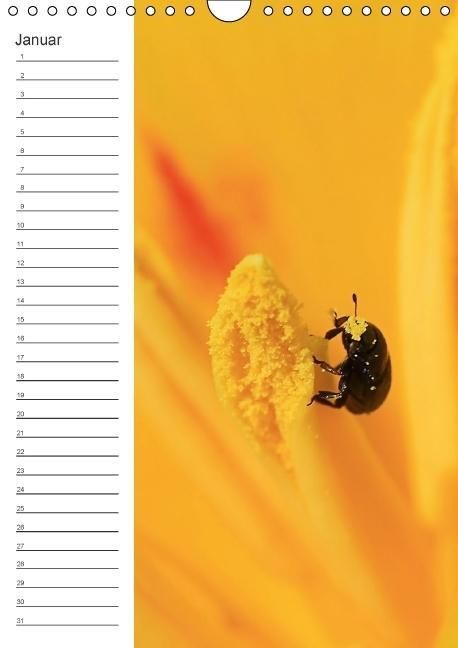 Produktbild: Tierische Kleinigkeiten / Geburtstagskalender (Wandkalender immerw&auml;hrend DIN A4 hoch)
