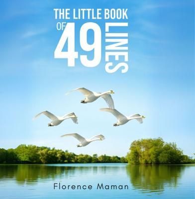 Produktbild: The Little Book of 49 Lines