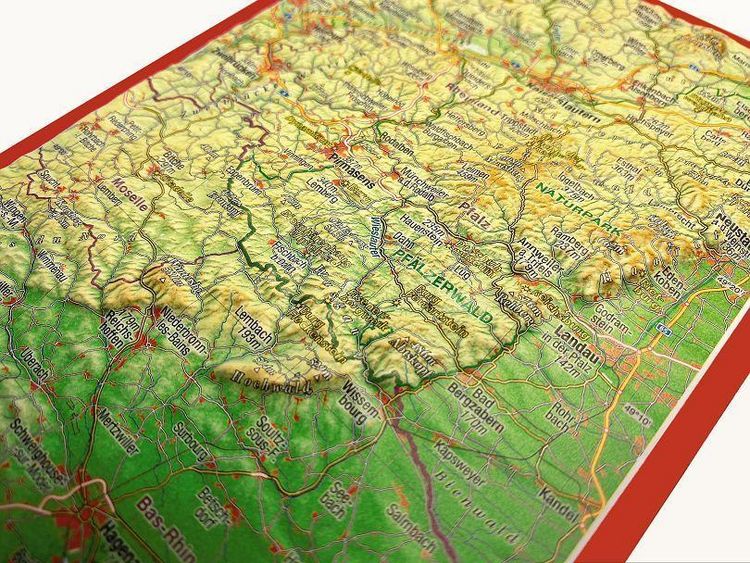 Produktbild: Reliefpostkarte Pf&auml;lzer Wald