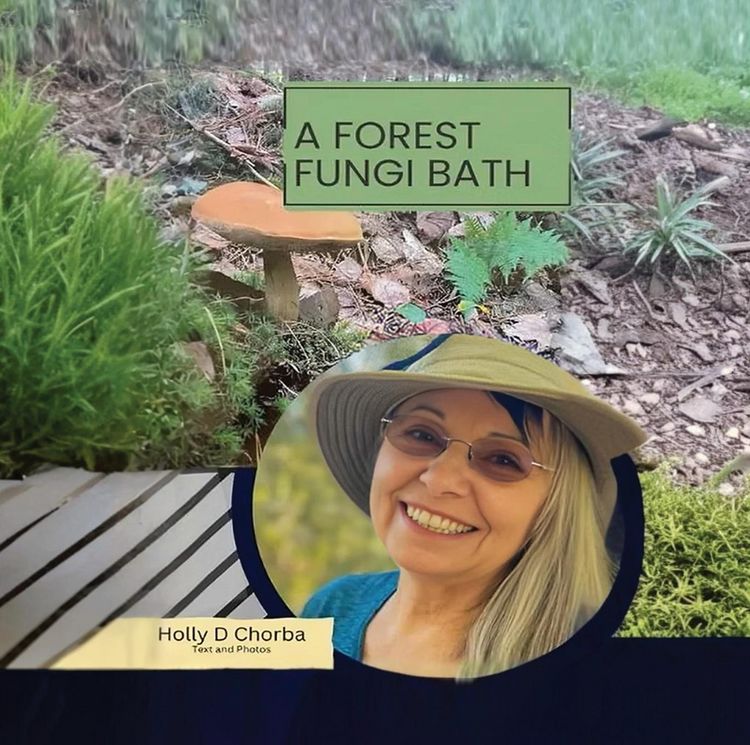 Produktbild: A forest fungi bath