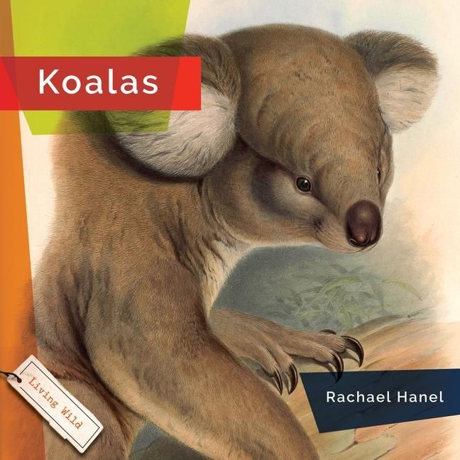 Produktbild: Koalas