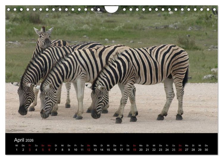 Produktbild: W&uuml;stenzauber Namibia (Wandkalender 2026 DIN A4 quer), CALVENDO Monatskalender