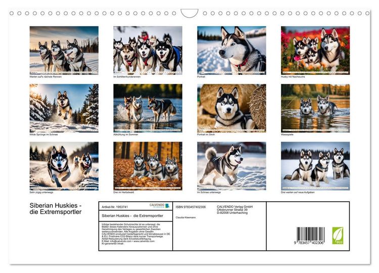 Produktbild: Siberian Huskies - die Extremsportler (Wandkalender 2026 DIN A3 quer), CALVENDO Monatskalender