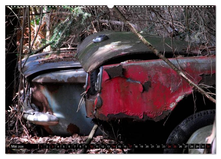 Produktbild: Autowracks - rostende Liebe (Wandkalender 2026 DIN A2 quer), CALVENDO Monatskalender