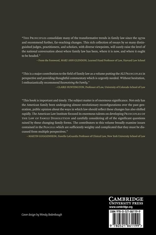 Produktbild: Reconceiving the Family