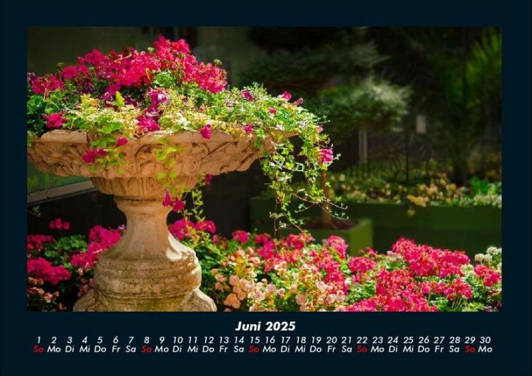 Produktbild: Blumentr&auml;ume 2025 Fotokalender DIN A4
