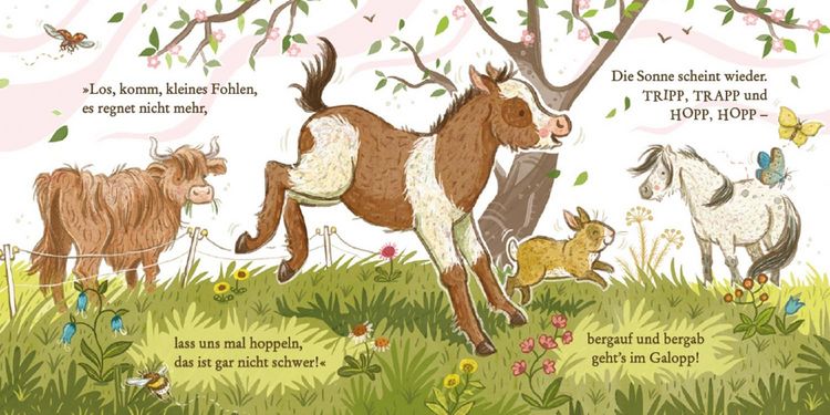 Produktbild: Hallo, kleines Pony