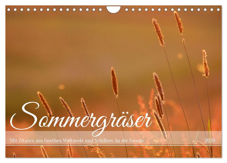 Produktbild: Sommergr&auml;ser (Wandkalender 2026 DIN A4 quer), CALVENDO Monatskalender