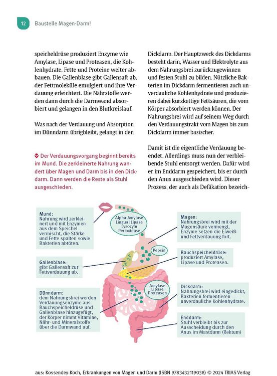 Produktbild: Naturheilpraxis: Erkrankungen von Magen und Darm