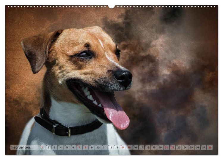 Produktbild: Jagdhunde im Portrait (Wandkalender 2026 DIN A2 quer), CALVENDO Monatskalender