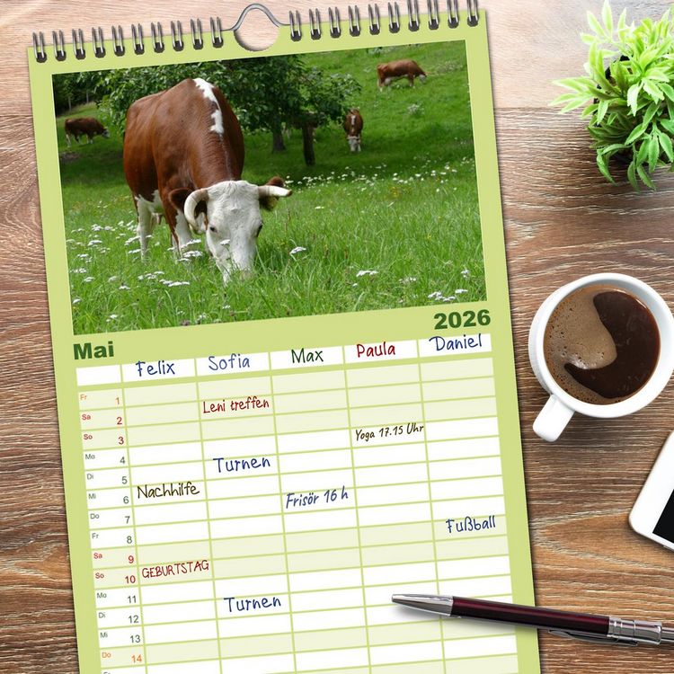 Produktbild: Familienplaner 2026 - Weiderinder im Frankenwald mit 5 Spalten (Wandkalender, 21 x 45 cm) CALVENDO