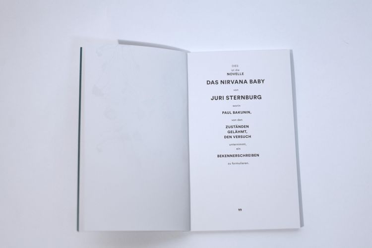 Produktbild: Das Nirvana Baby