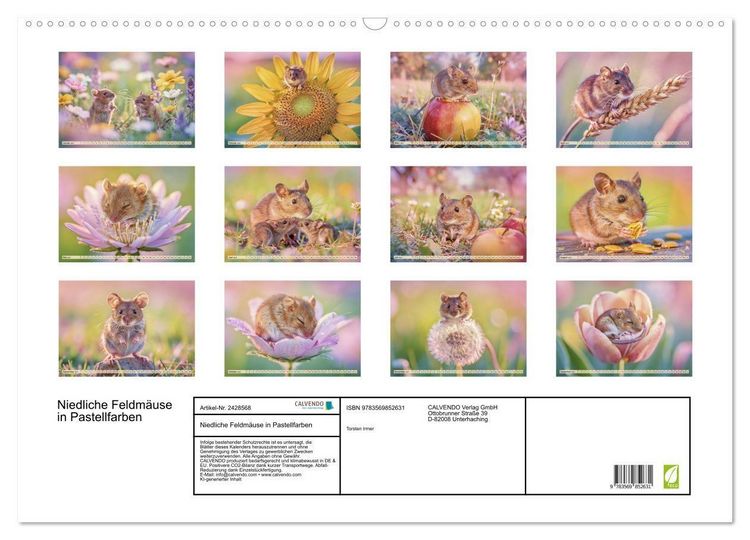 Produktbild: Niedliche Feldm&auml;use in Pastellfarben (Wandkalender 2027 DIN A2 quer), CALVENDO Monatskalender