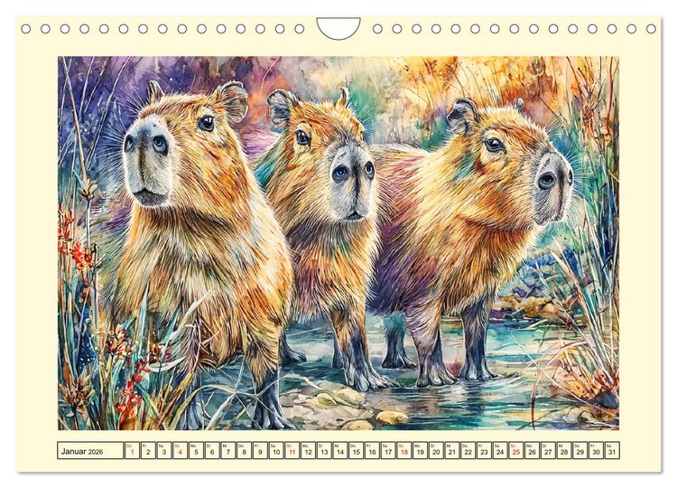 Produktbild: Wasserschweine. Bezaubernde Capybaras in der Natur (Wandkalender 2026 DIN A4 quer), CALVENDO Monatskalender