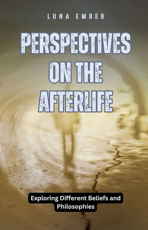 Produktbild: Perspectives on the Afterlife