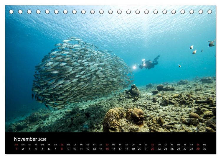 Produktbild: Tanz der Fische (Tischkalender 2026 DIN A5 quer), CALVENDO Monatskalender