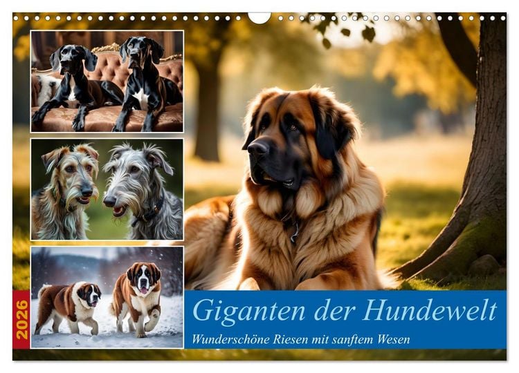 Produktbild: Giganten der Hundwelt (Wandkalender 2026 DIN A3 quer), CALVENDO Monatskalender