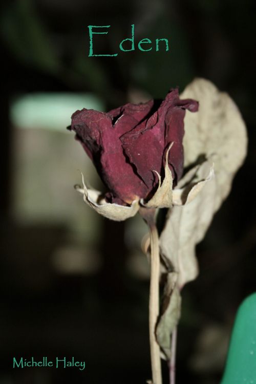 Produktbild: Eden