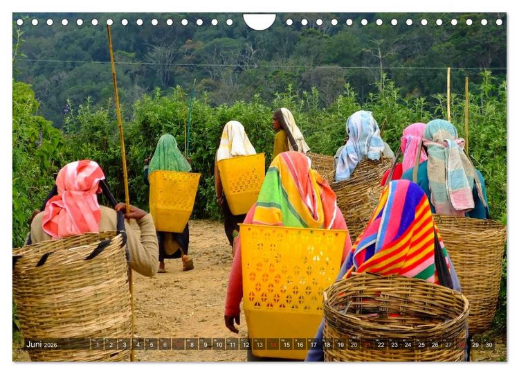 Produktbild: Sri Lanka - Eine Bilder-Reise (Wandkalender 2026 DIN A4 quer), CALVENDO Monatskalender