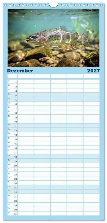 Produktbild: Familienplaner 2027 - Forellen im Fluss mit 5 Spalten (Wandkalender, 21 x 45 cm) CALVENDO