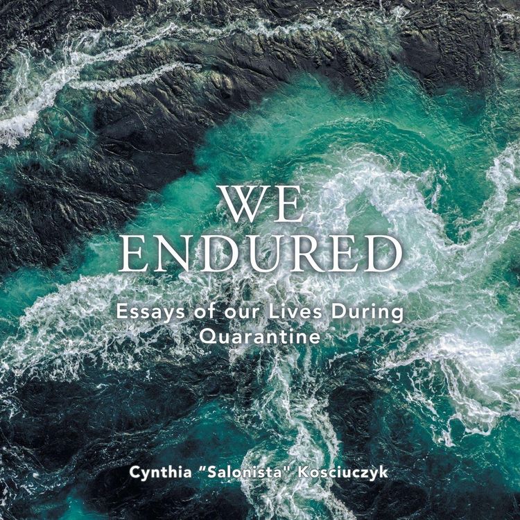 Produktbild: We Endured