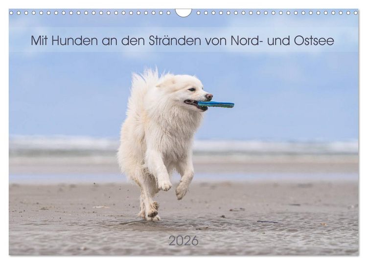 Produktbild: Mit Hunden an den Str&auml;nden von Nord- und Ostsee (Wandkalender 2026 DIN A3 quer), CALVENDO Monatskalender