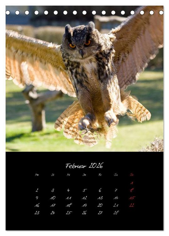 Produktbild: Tiere (Tischkalender 2026 DIN A5 hoch), CALVENDO Monatskalender